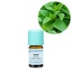 Melissa Organic